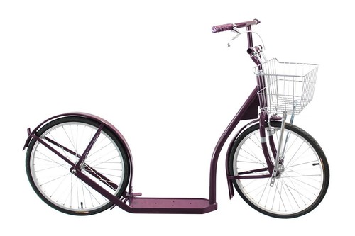 Adult plum scooter - adult, genuine