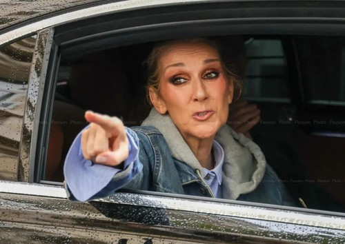 Photo céline dion portrait - photo,