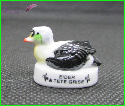 Feve les races canard duck - feve,