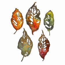 Thinlits Die Set 5PK Fragments