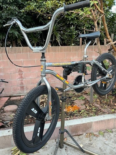 Old school bmx - 94, survivor