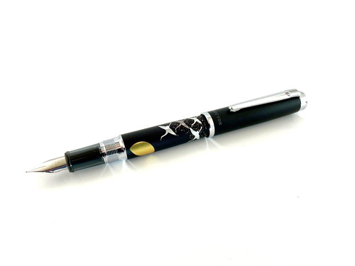 Stylo plume platinum - stylo,