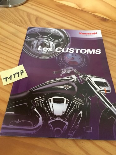 Kawasaki custom 800 1500 - kawasaki,
