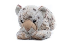 Histoire d'Ours Peluche