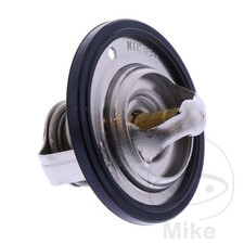 SIN MARCA Thermostat de