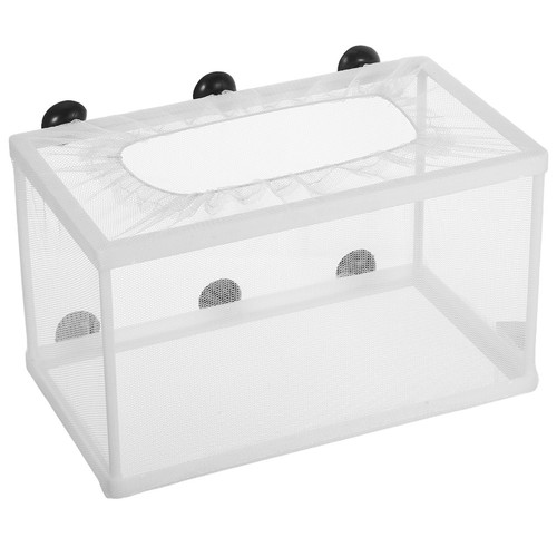 Incubateur poisson aquarium - poisson,