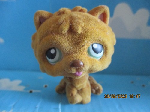 Petshop chien chow 332 - chien, n°332