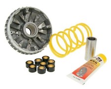 Variateur MALOSSI Multivar