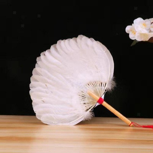 éventail chinois décoratif - chinois,