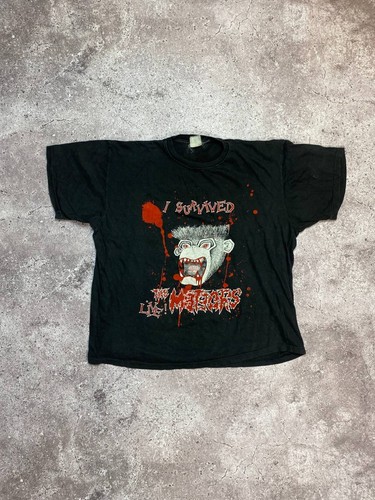 Vtg the meteors survived - meteors, i