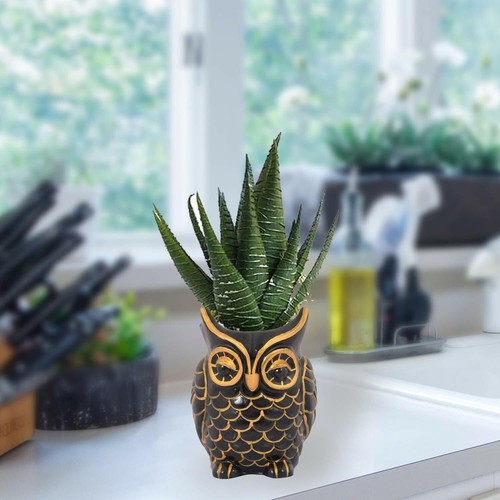 Décorative chouette pot pour - décorative,