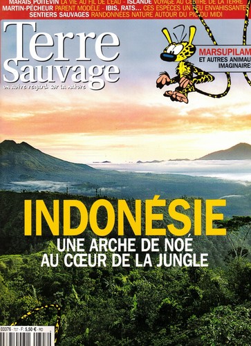 Terre sauvage 229 - terre,