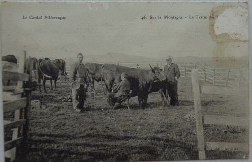 Cpa cantal pittoresque - 15,