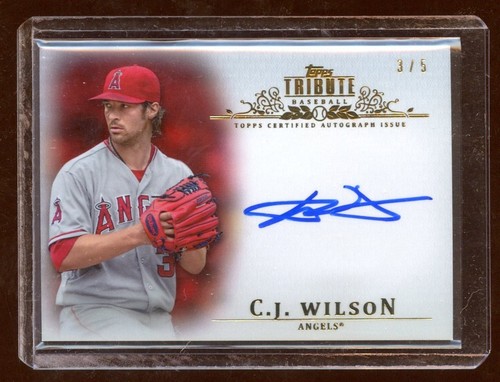 2013 tribute wilson - c.j., auto