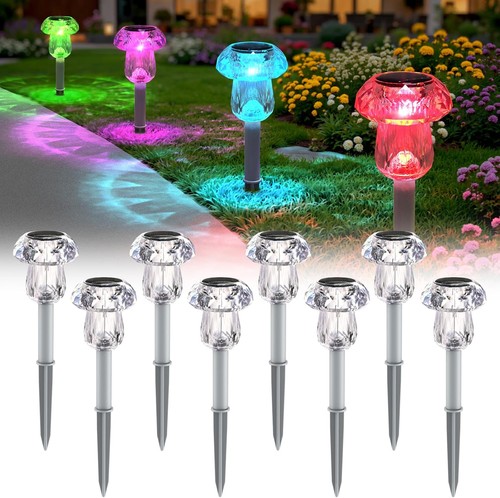 Pack mushroom solar pathway - mushroom,