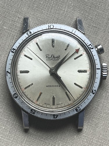 Vintage croton nivada - croton,