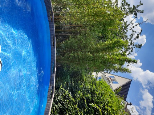 Piscine tubulaire ovale - piscine,