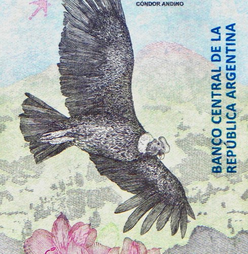 Argentine billet pesos - 50,