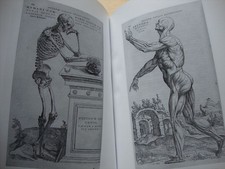 RENAISSANCE DE L'ANATOMIE CUIR