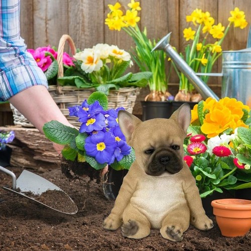 Statuette bouledogue - statuette, de