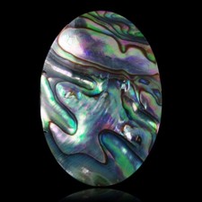 ★☆ ABALONE 31,86 CT de l'Océan Indien - 32,7 mm - GEM-A11-30 ☆★