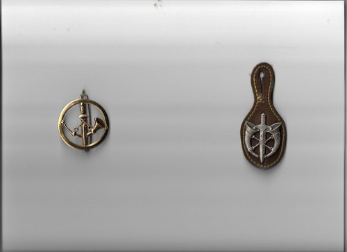 Insignes militaires français - militaires,