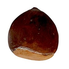 Castagna Décorative en Marbre