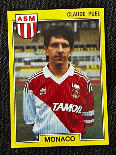 Vignette sticker panini - sticker, foot