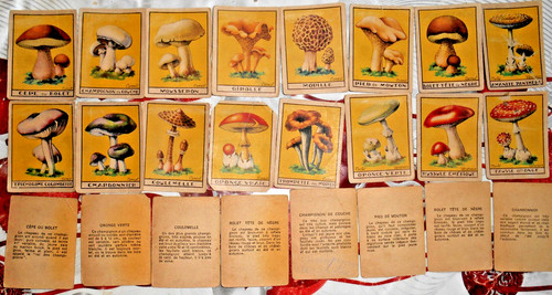 Lot bon point ancien - bon,