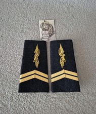 Paire de fourreaux d'épaule