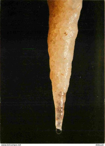 Carte postale spéléologie - postale,