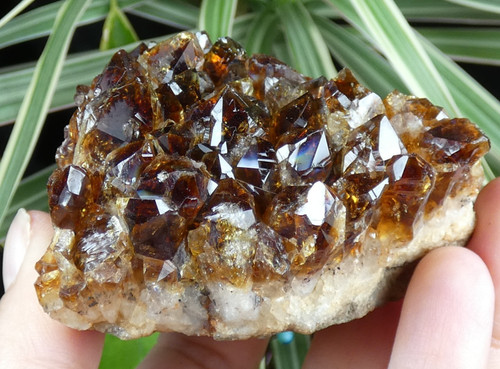 Citrine amethyste chauffée - citrine,