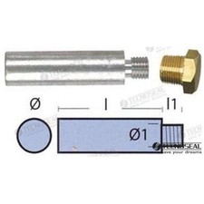 Anode moteur zinc pour - anode,