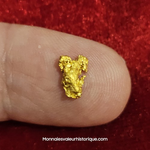 Pépite naturelle - d'or,