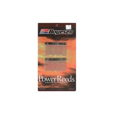 lamelle Boyesen Kawasaki Kx