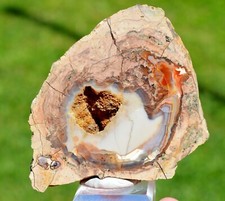 Calcedoine var agate & Quartz