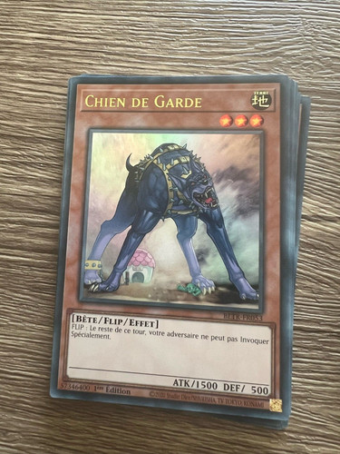 Yugioh chien garde - yugioh, fr053