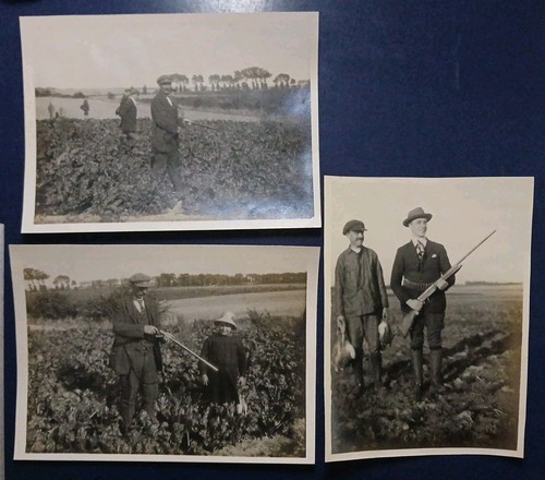 Belgique 1924 chasse au - belgique,