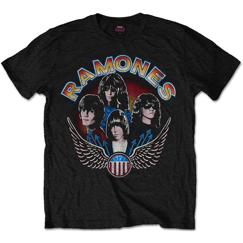 The ramones portraits punk - the,