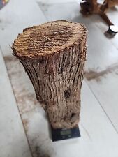  Provence lot A 1 RONDIN Bois De Cyprès 4kg800 tournage,sculpture,coutellerie