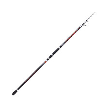 Canne à Pêche Surfcasting