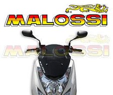 Pare brise Bulle MALOSSI MHR