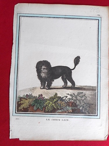 225 gravure xviiie histoire - 225,