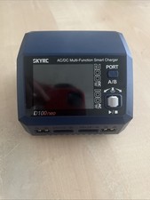 Skyrc D100 Neo Ac/dc Multifonction Smart Charger