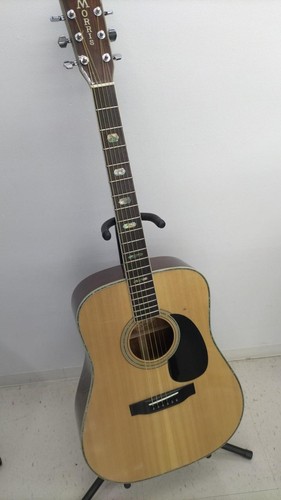 Guitare acoustique morris - acoustique,