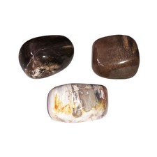 Pierres roulées Bois