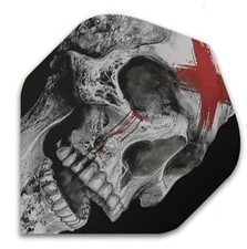 Lot de 5 jeux = 15 ailettes