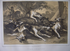Lithographie Une chasse au