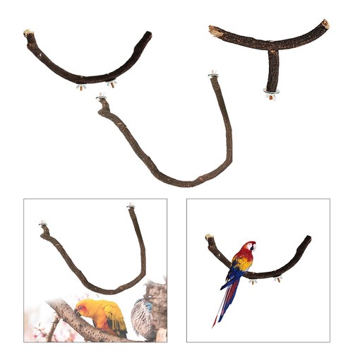 Perchoir oiseaux bois - perchoir,