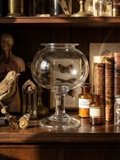 Curiosité bocal à sangsues ancien XVIIIe-XIXe en verre soufflé